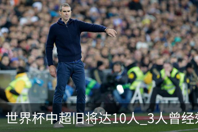 世界杯中超旧将达10人 3人曾经效力国安海港两将
